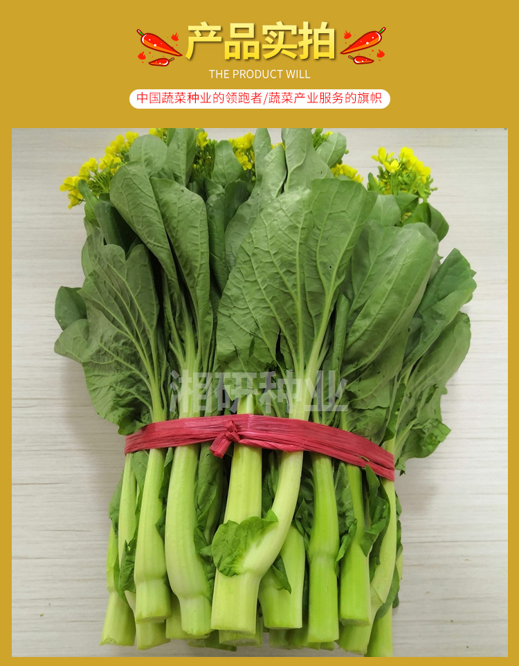 湘早苔八号_02.jpg