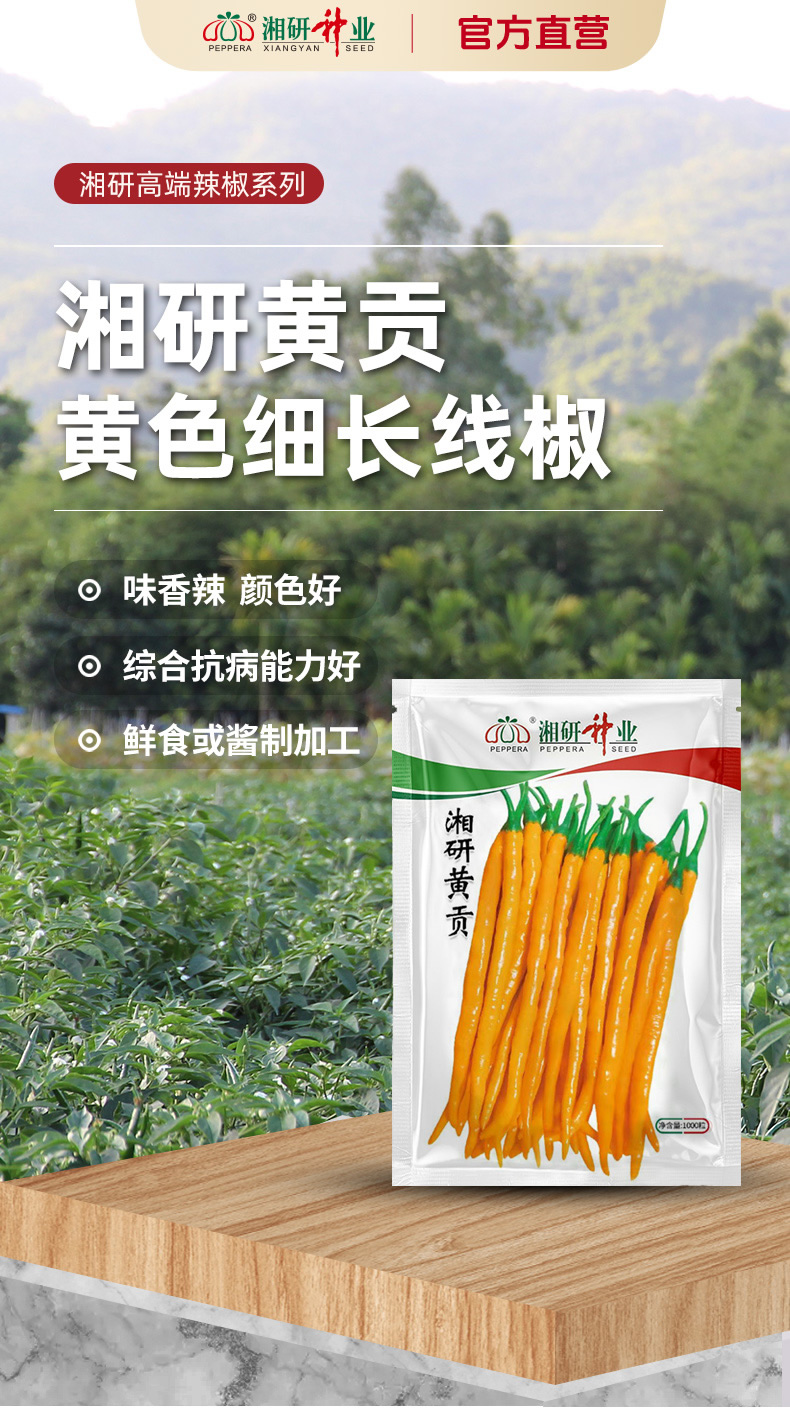 详情页_r1_c1.jpg