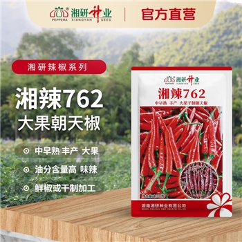 湘辣762