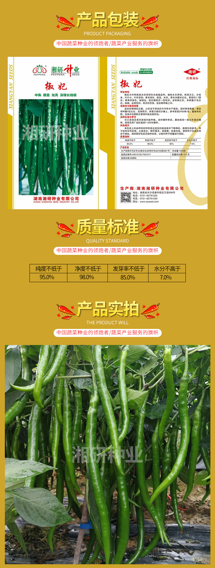 椒妃.jpg